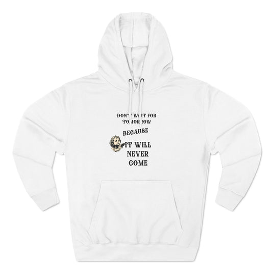 Three-Panel Fleece Hoodie